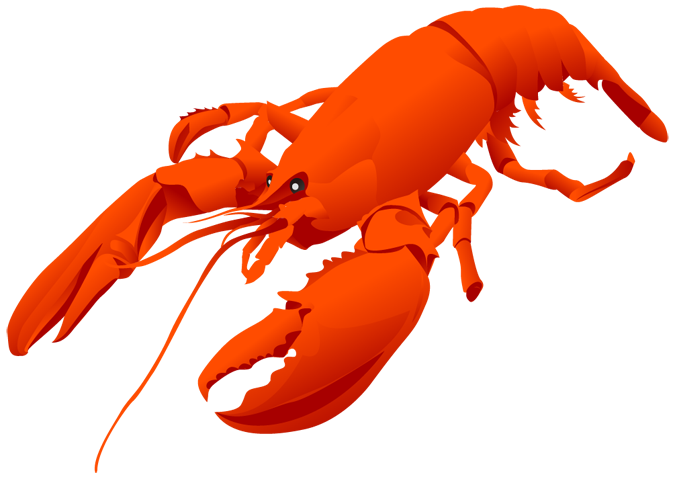 lobster